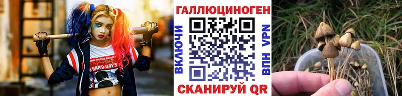 Галлюциногенные грибы мухоморы  Керчь 