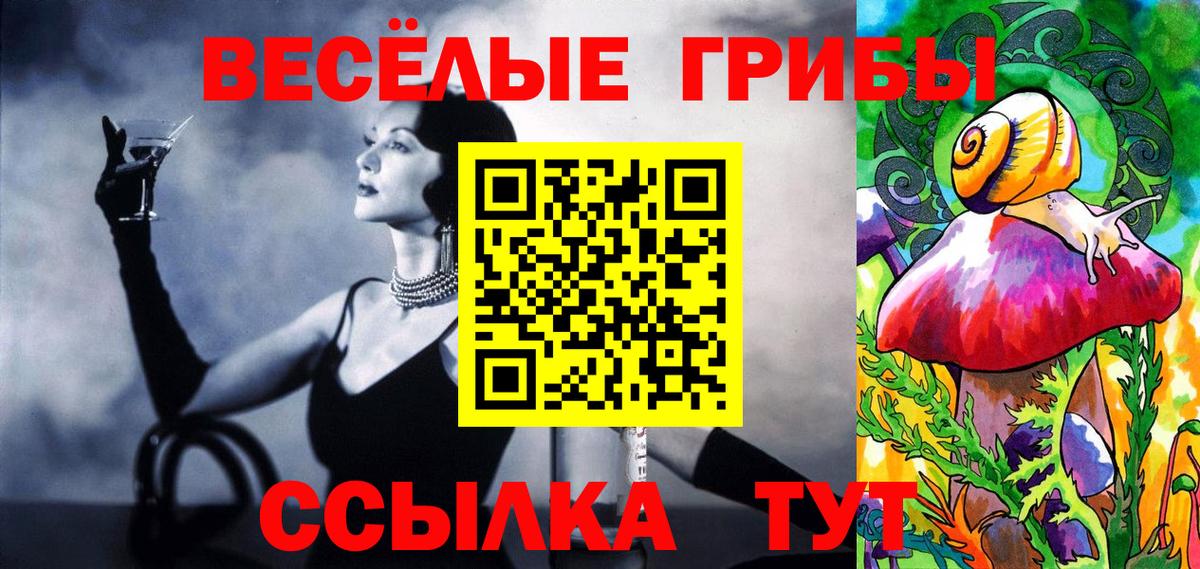 Псилоцибиновые грибы прущие грибы  Галлюциногенные грибы GOLDEN TEACHER  Керчь  Вход с VPN 