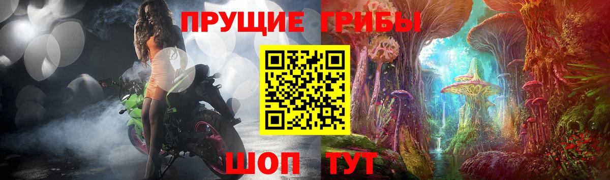Псилоцибиновые грибы мицелий Керчь